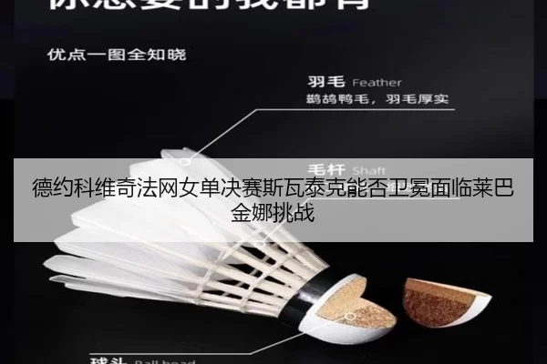 de-yue-ke-wei-qi-fa-wang-nv-dan-jue-sai-si-wa-tai-ke-neng-fou-wei-mian-mian-lin-lai-ba-jin-na-tiao-zhan-2-990.jpg